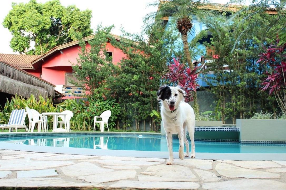 Pousada North Shore Maresias - 2 Quadras Da Praia - Casas De 2 Quartos - 80 M2 -2 Banheiros -Piscina Sauna - Estacion-Churrasq Privativa -Wifi Animais De Peq Porte Roupa De Cama E Banho Exterior photo